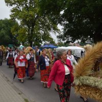 Zobacz w powiększeniu: Dożynki Powiatowe Baranów 2021 (31)